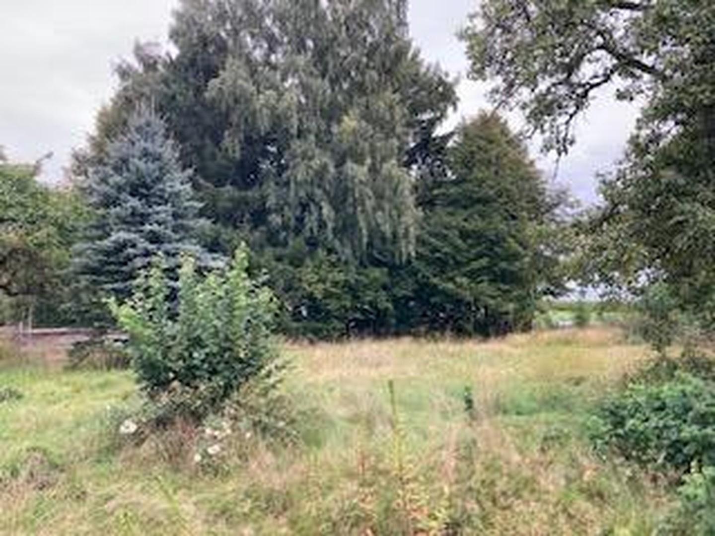 Gartengrundstück