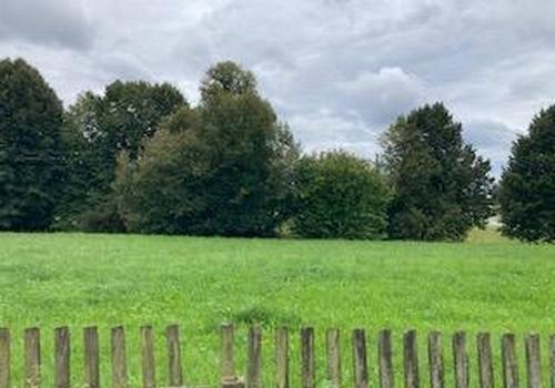 Süden - Wiese - Blick zur B12