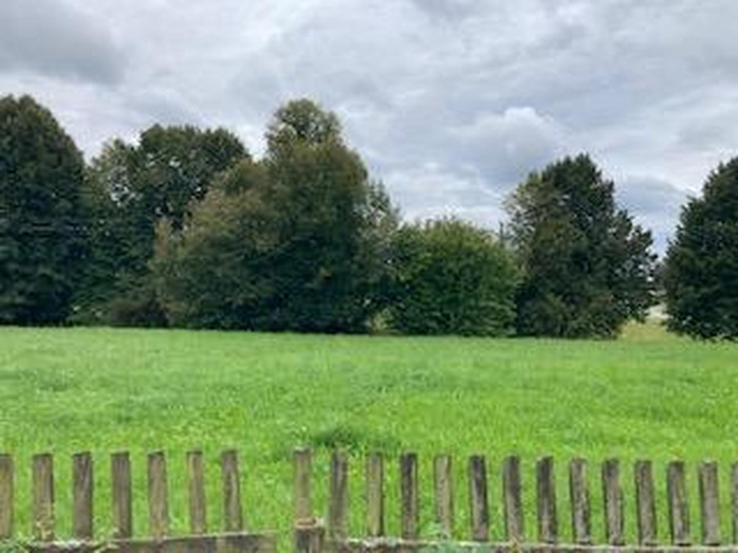 Süden - Wiese - Blick zur B12
