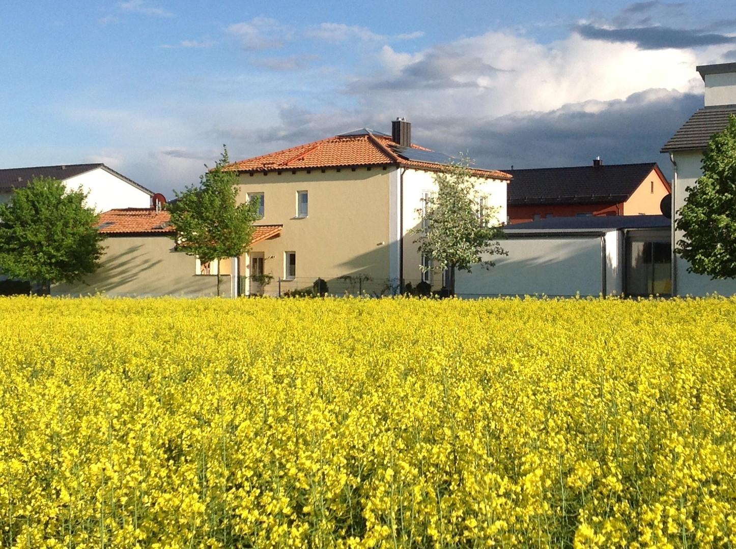 Hausrückseite vom Feld