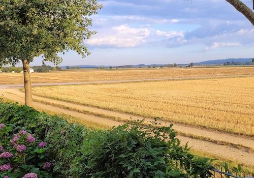 Blick aufs Feld