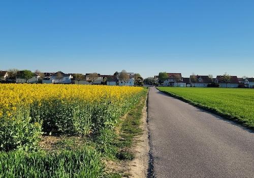 Blick auf Gaimersheim vom Feld