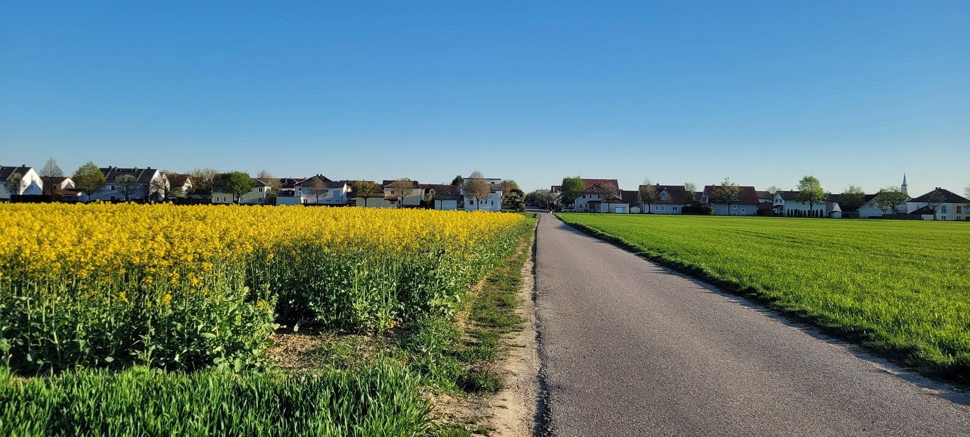 Blick auf Gaimersheim vom Feld