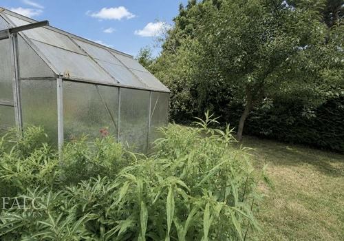 Garten mit Gewächshaus 