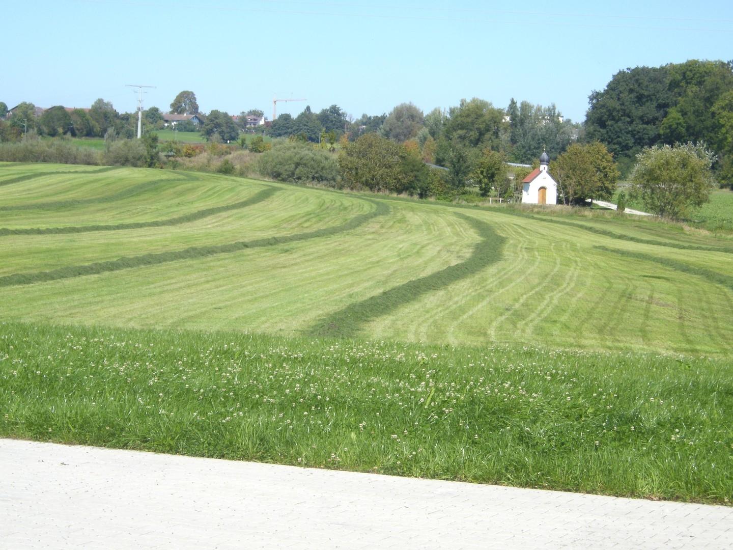 nebenan viel Grün 