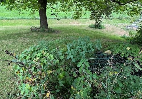 Garten-Impression