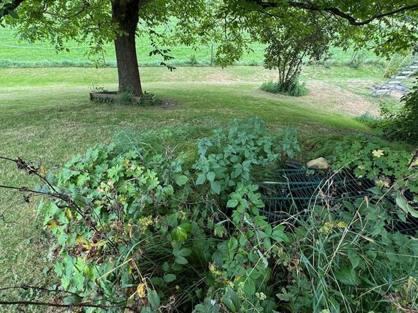 Garten-Impression