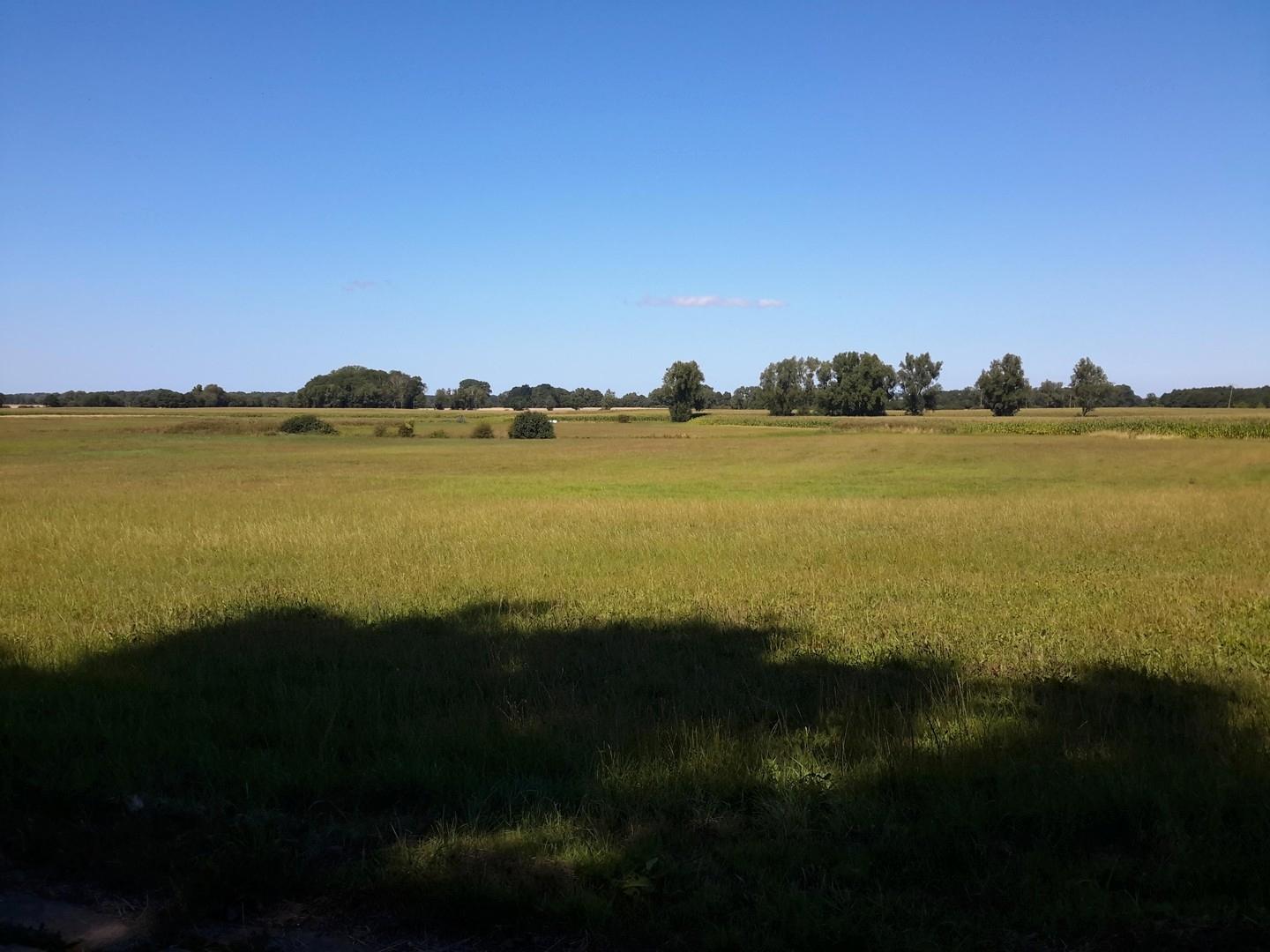 gg.über Wiesenlandschaft 