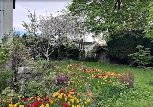 Blick in den Garten