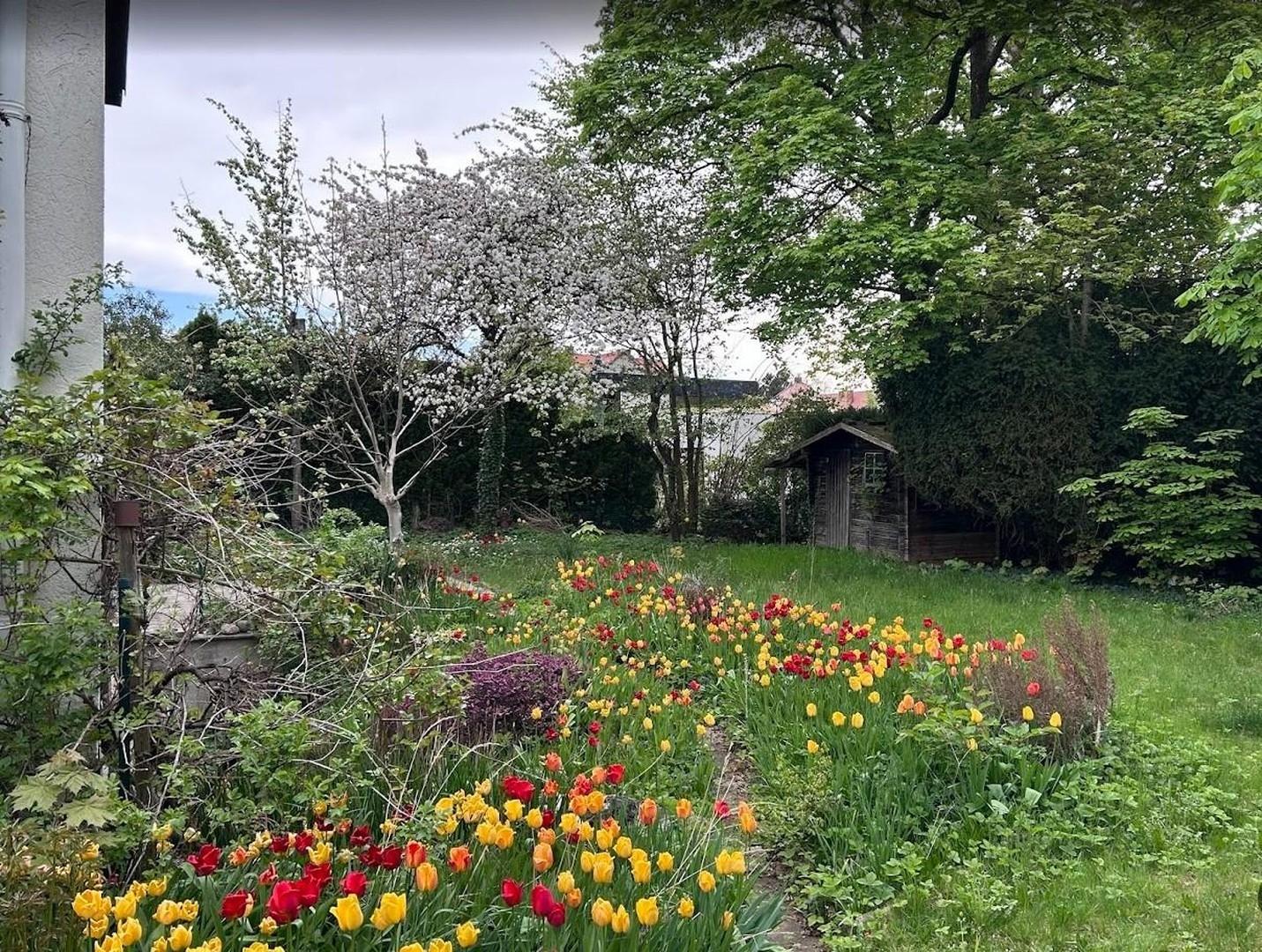 Blick in den Garten