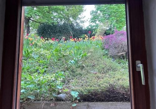 Blick aus Kellerfenster