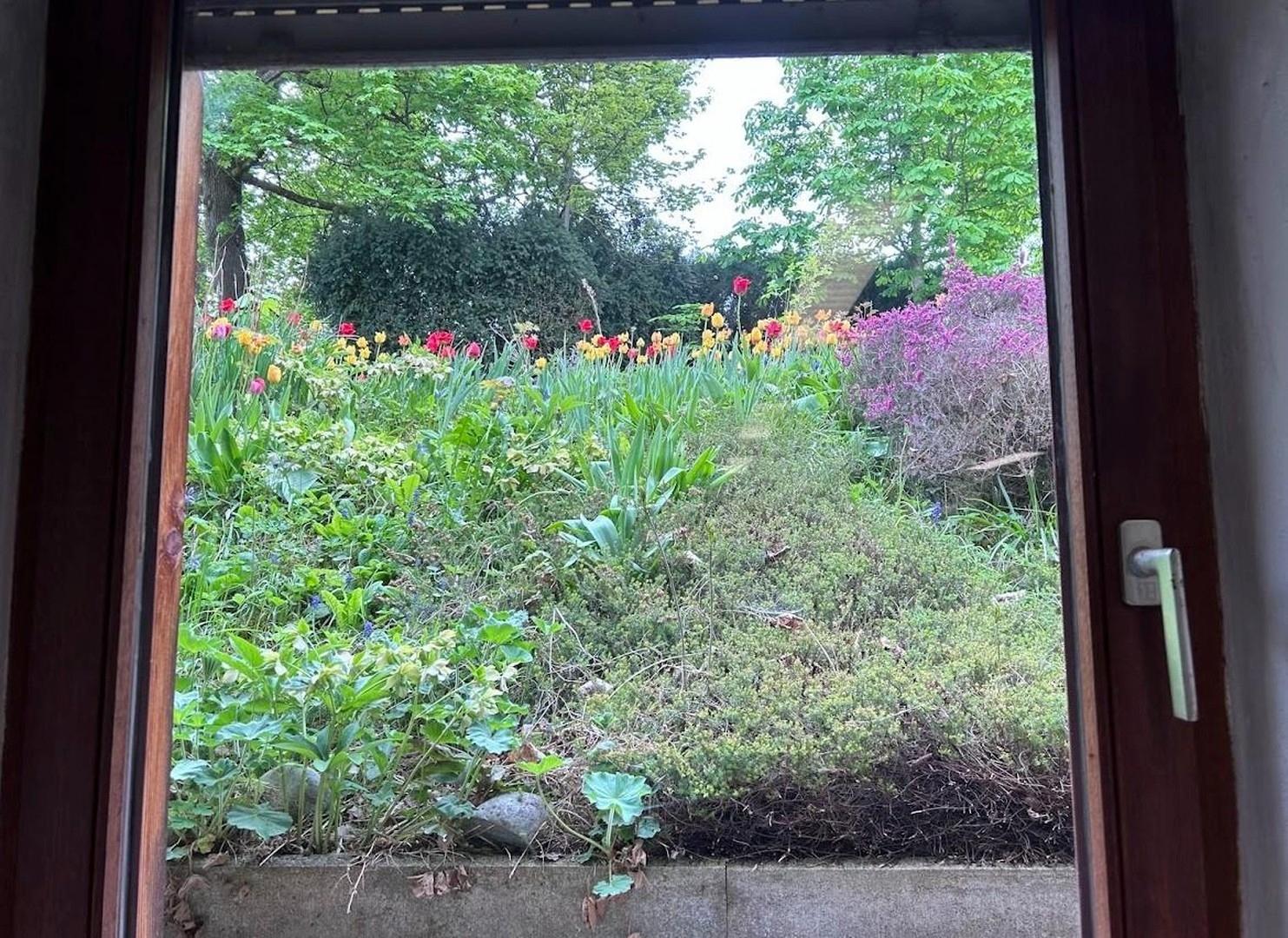 Blick aus Kellerfenster