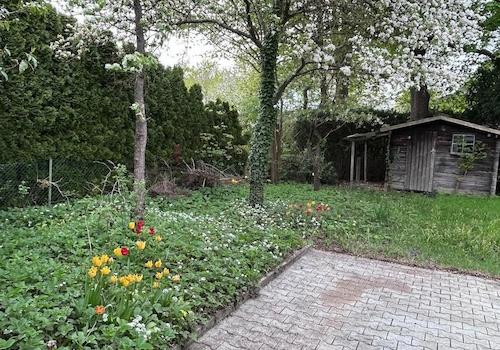 Blick in den Garten