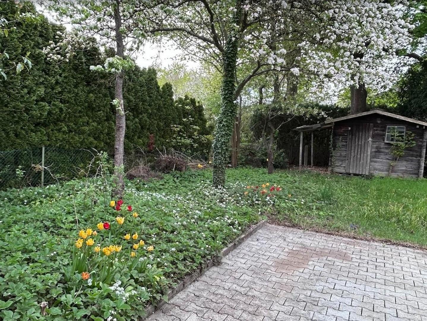 Blick in den Garten