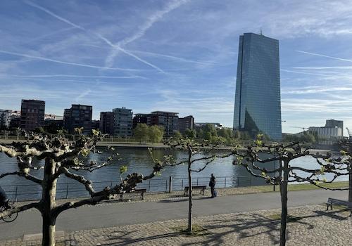 Blick zum Main