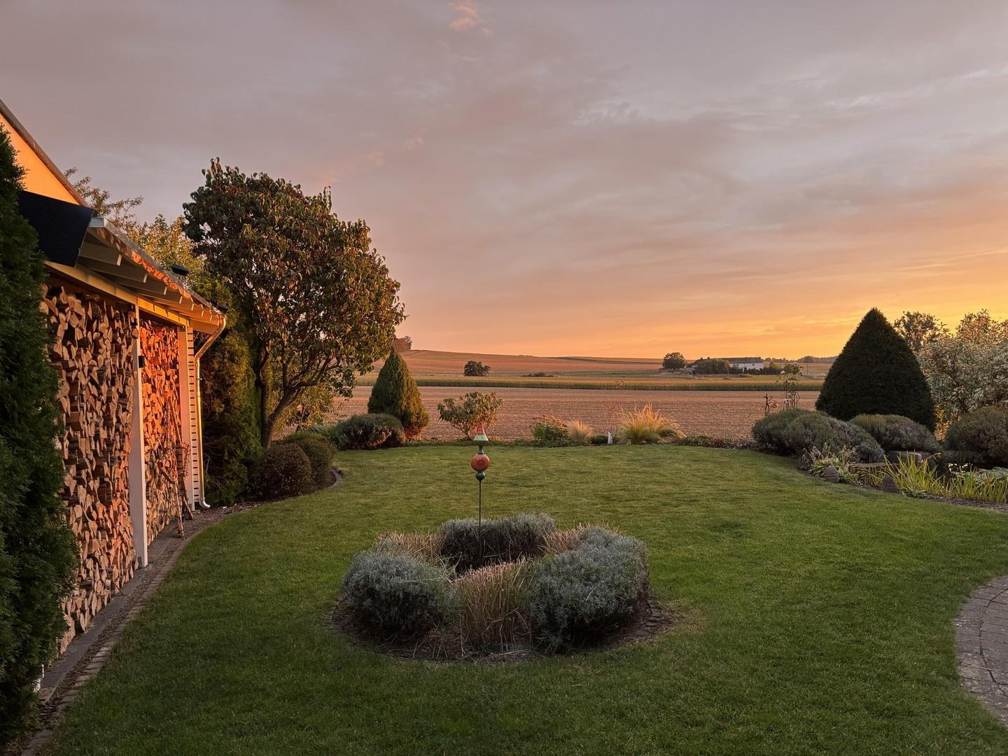Blick in den Garten 