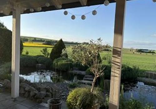 Blick von der Terrasse 