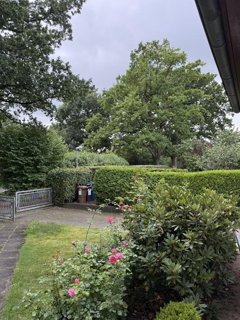 Blick vom Eingang