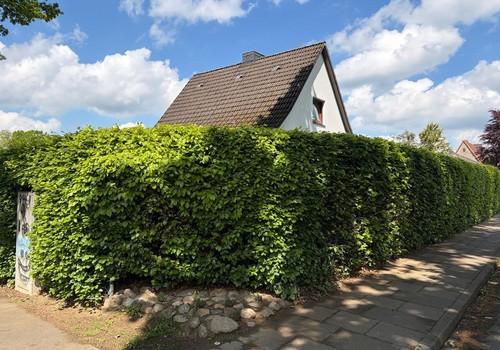 Blich zum Haus, Straßenecke