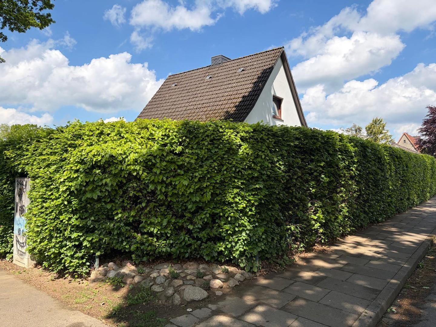 Blich zum Haus, Straßenecke