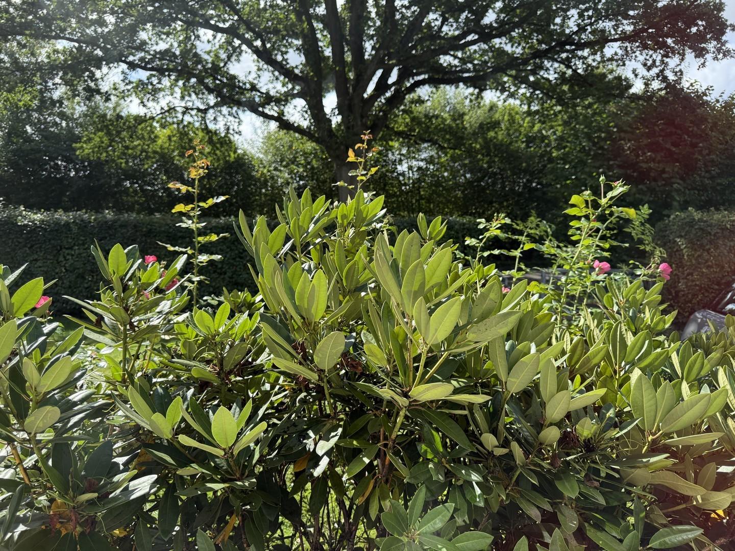 Blick aus dem Wohnzimmerfenste