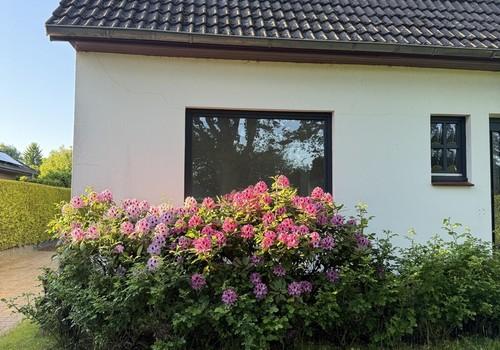 Haus vorn