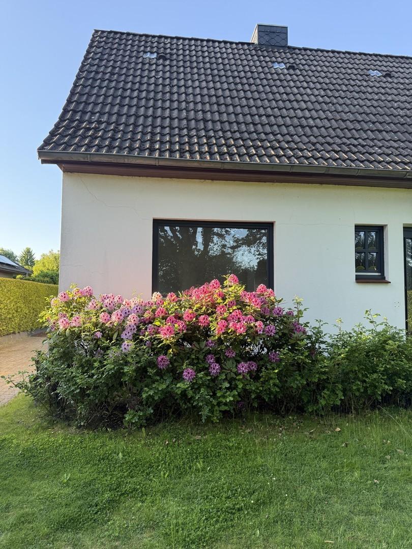 Haus vorn