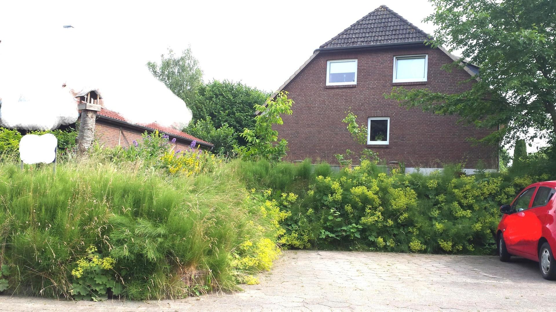 Blick von der Straße