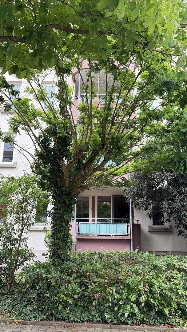 Dein Balkon