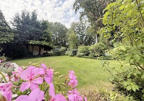 Blick in den Garten
