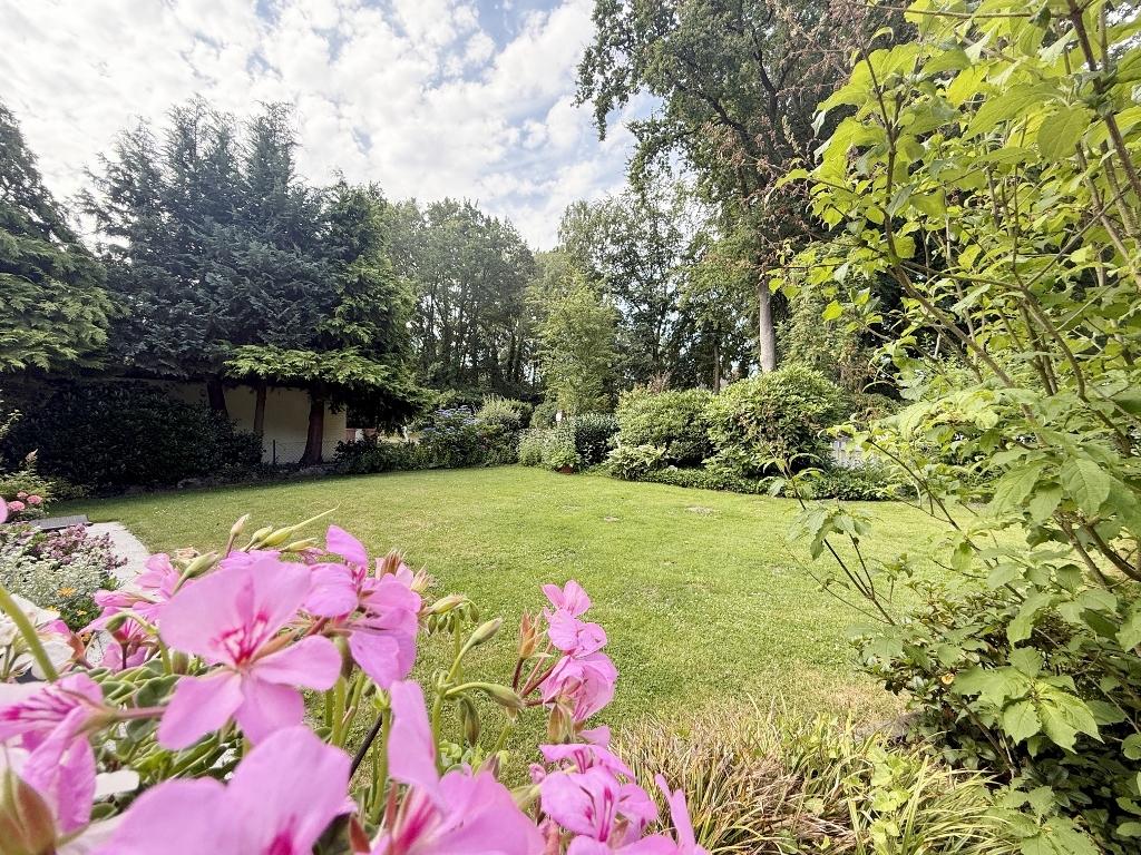 Blick in den Garten