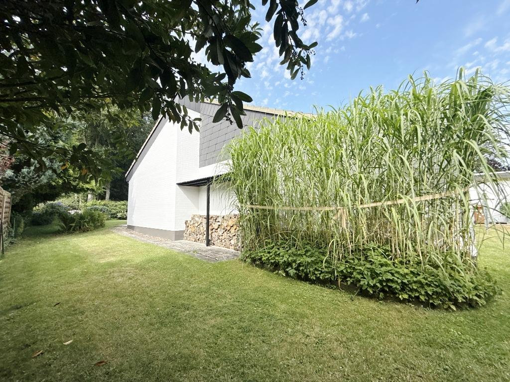 Seitenansicht