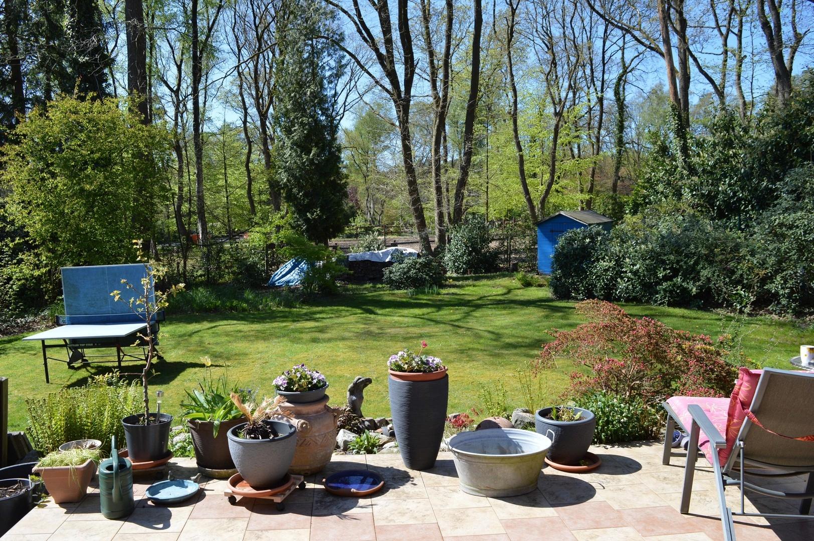 Gartenblick von der Terrasse 1