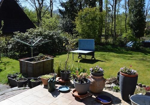Gartenblick von der Terrasse 3