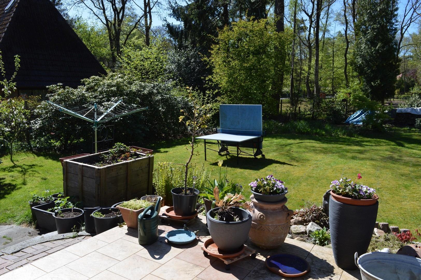 Gartenblick von der Terrasse 3