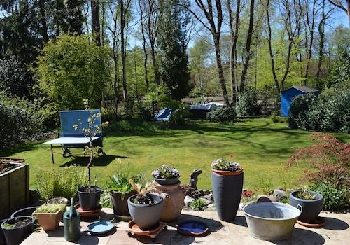 Gartenblick von der Terrasse 4
