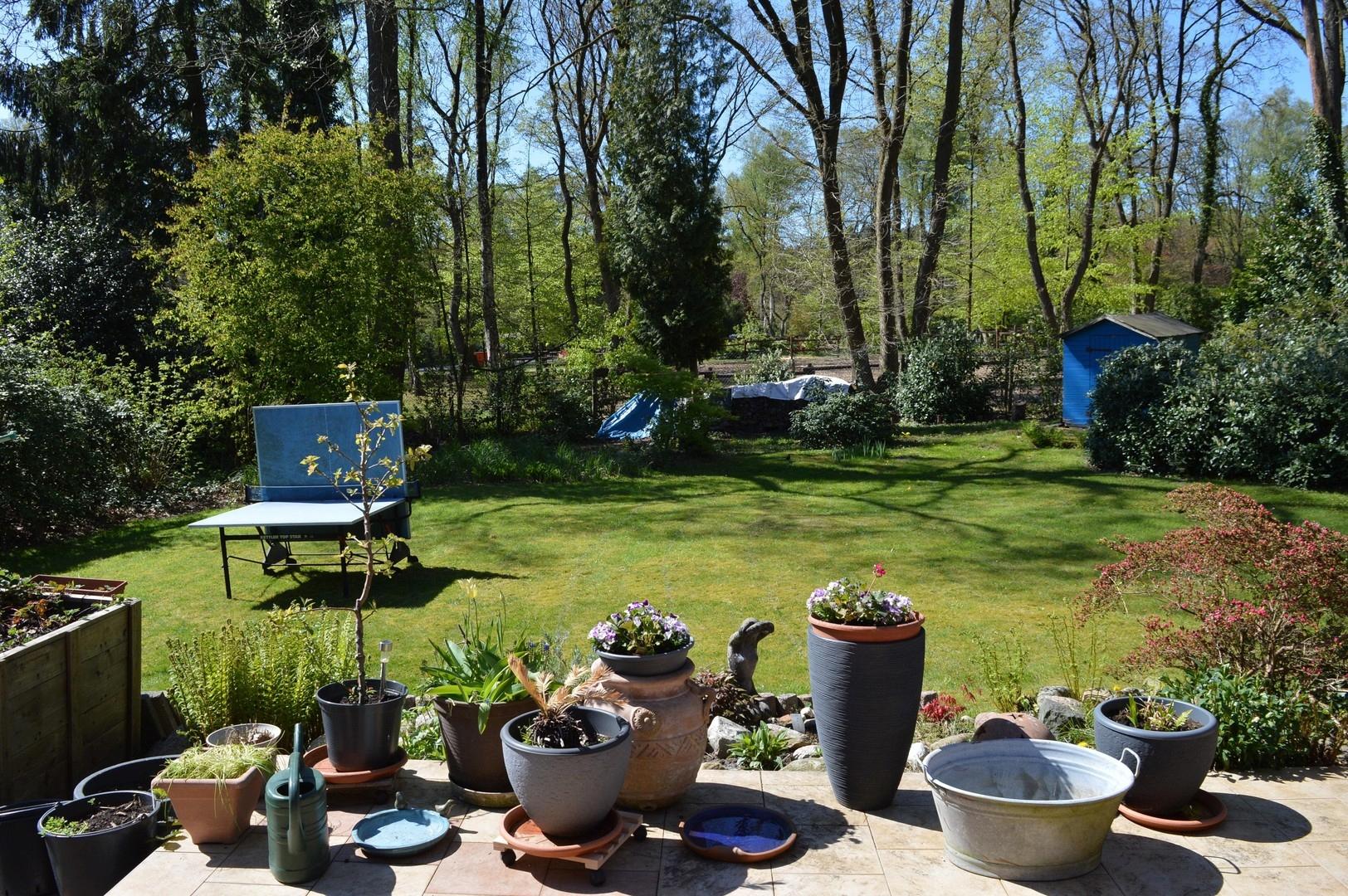 Gartenblick von der Terrasse 4