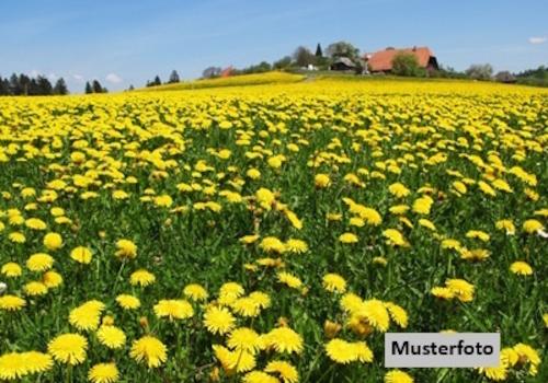 Keine Originalbilder
