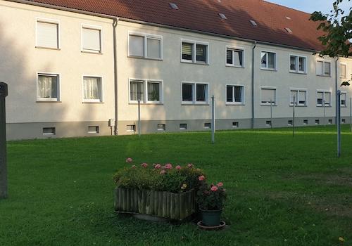 Blick zum Haus / Hinterseite