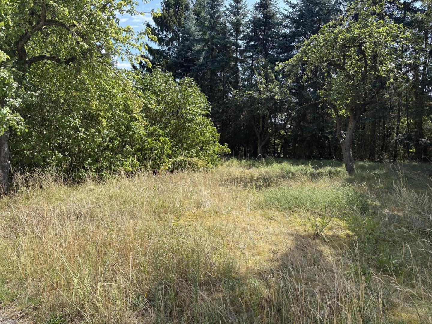 Ehemalige Obstbaumwiese
