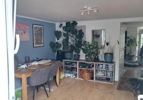 Wohnzimmer unten