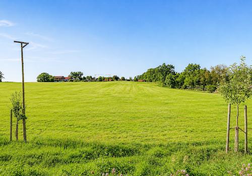 Blick vom Eingang aus nach hinten ins Grüne