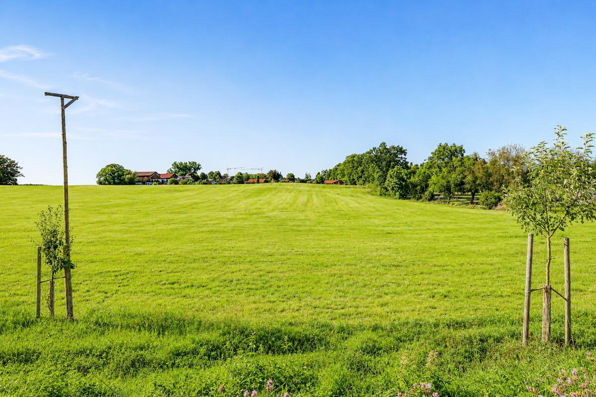 Blick vom Eingang aus nach hinten ins Grüne