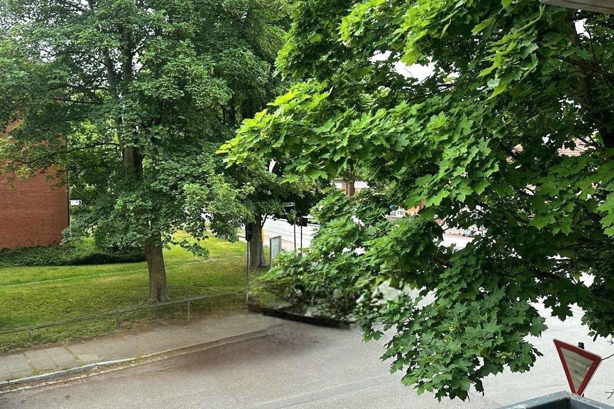 Blick vom Balkon Wohnzimmer