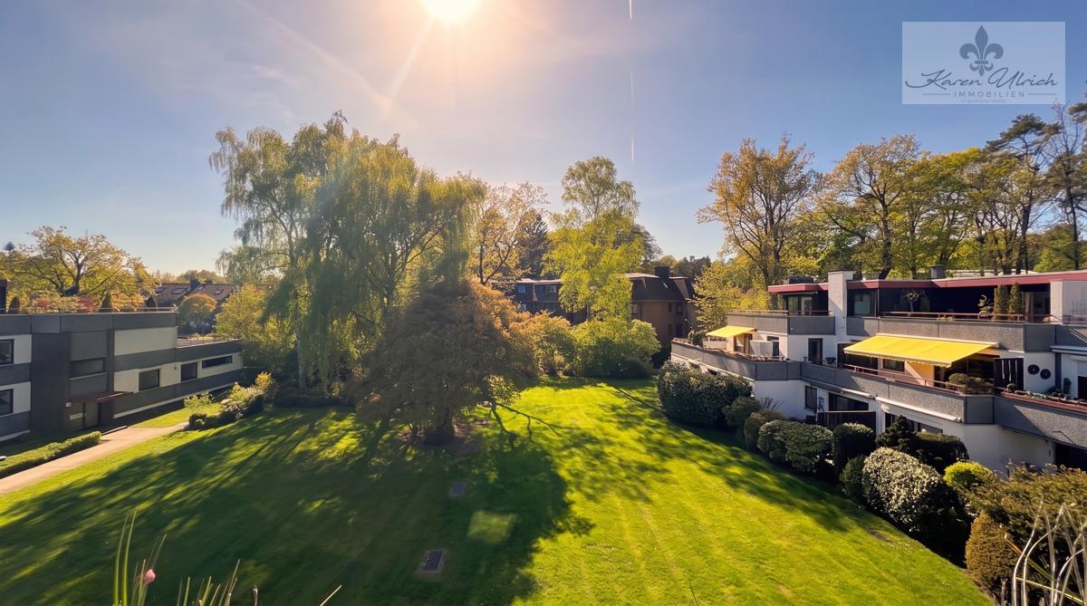Blick ins Grüne