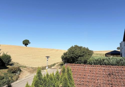 Ausblick Küche