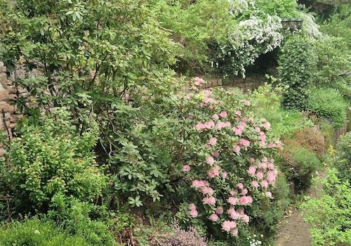 Gartenimpression
