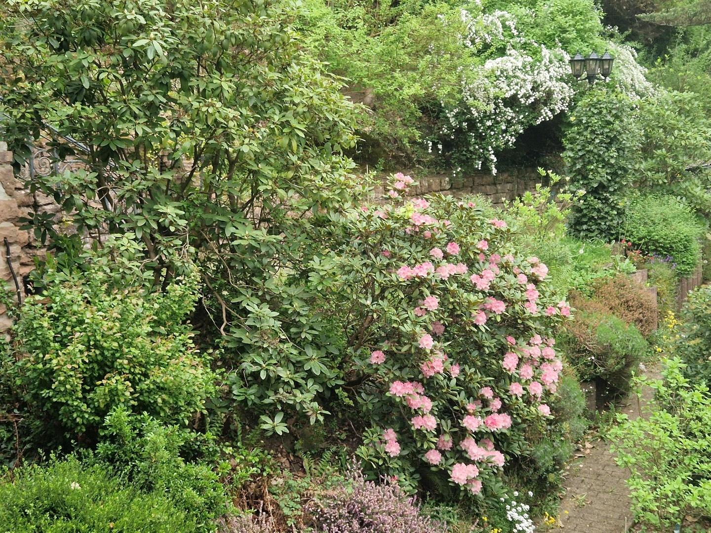 Gartenimpression