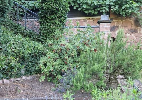 Gartenhaus vom Garten aus