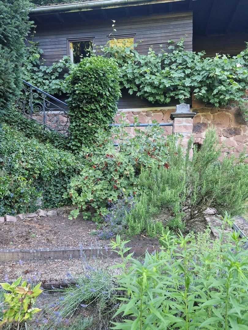 Gartenhaus vom Garten aus